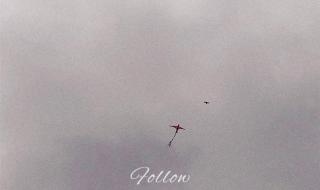 wiz张子豪个人资料 wiz张子豪个人资料